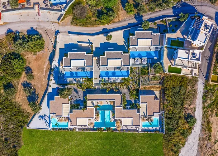 فيلة Damaskina *